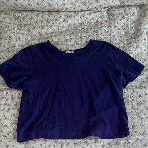 Aritzia Purple Wilfred Cropped T-Shirt